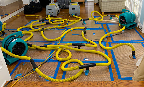 Professional Structural Drying And Dehumidification technician working in Milton, MA